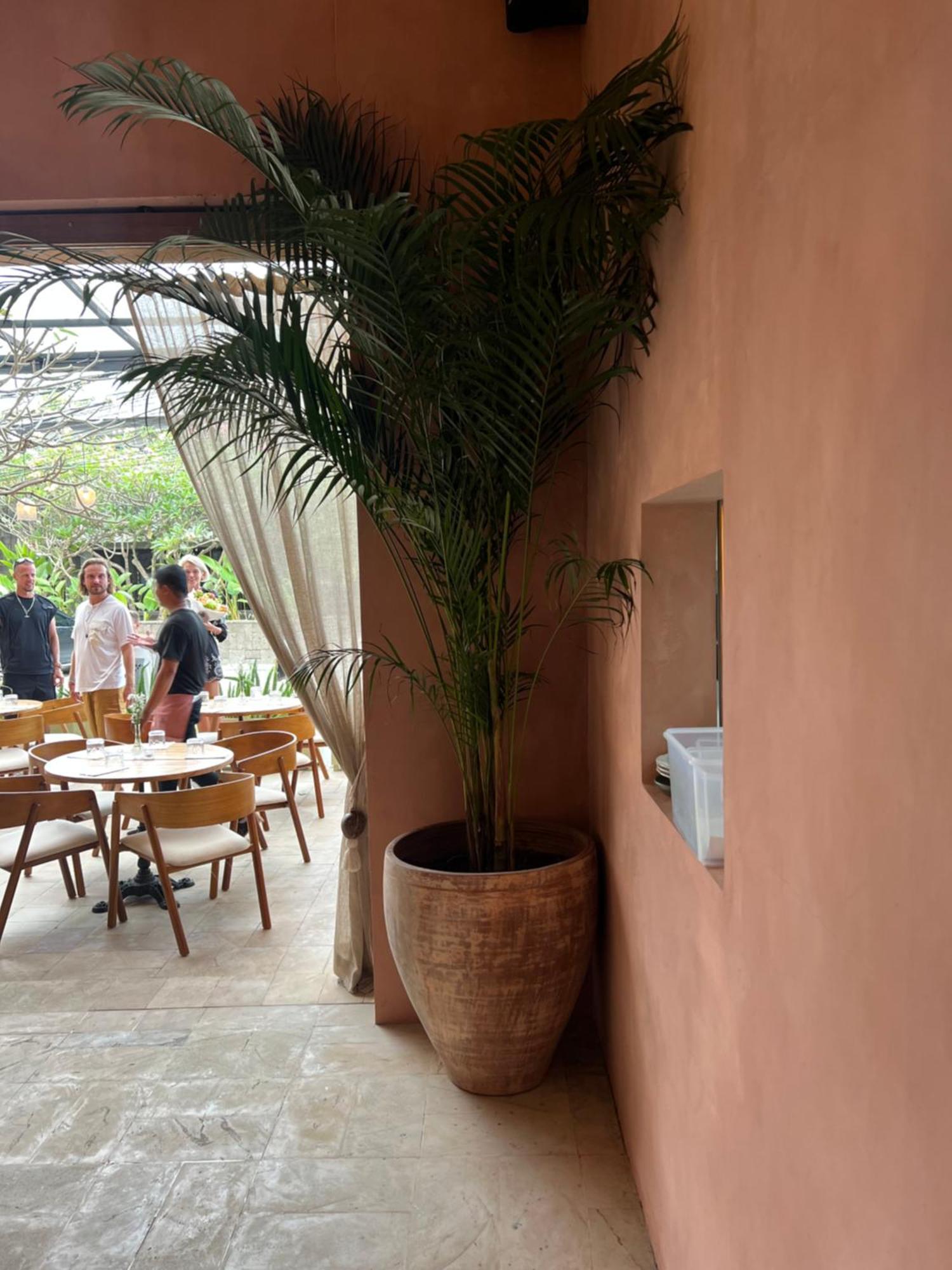 Grass Terrace Homestay Canggu Exterior foto