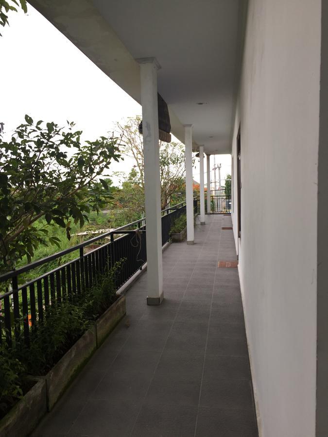 Grass Terrace Homestay Canggu Exterior foto